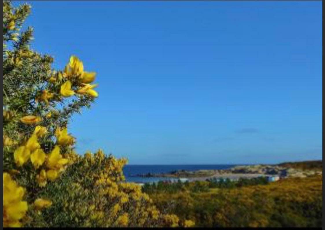 Balmara Villa Hopeman Buitenkant foto